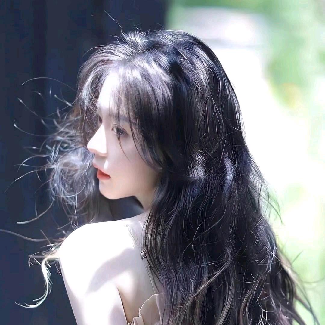 山茶藏秋意.🌿