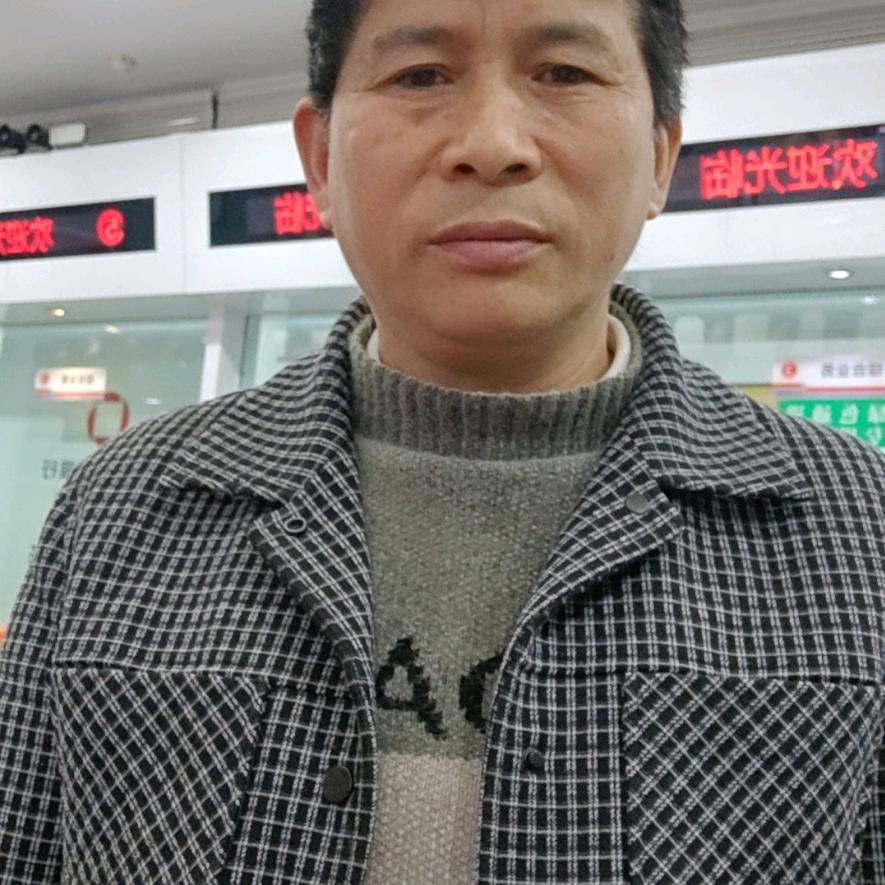 养牛接生牛