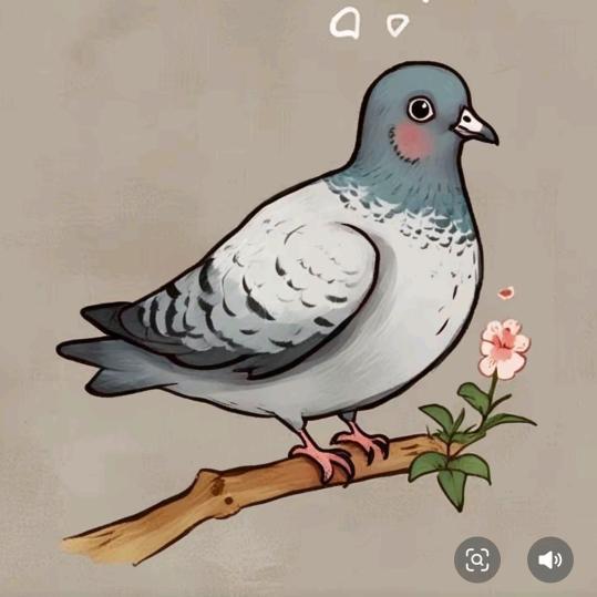 鸽舞幽兰