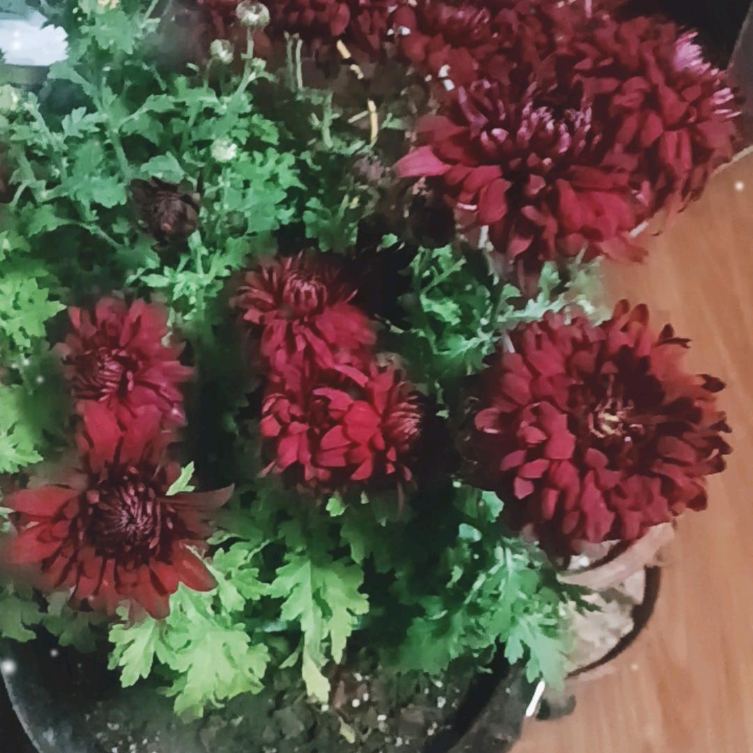 本人抖音以注销，