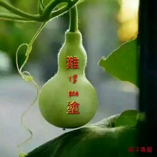 竹林听雨