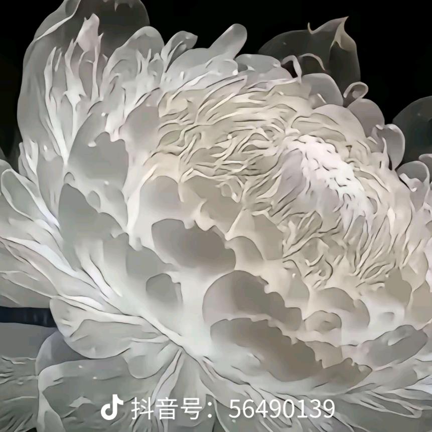 坚强的花，宁死不屈