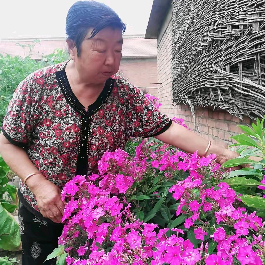 爱玩抖音的马奶奶