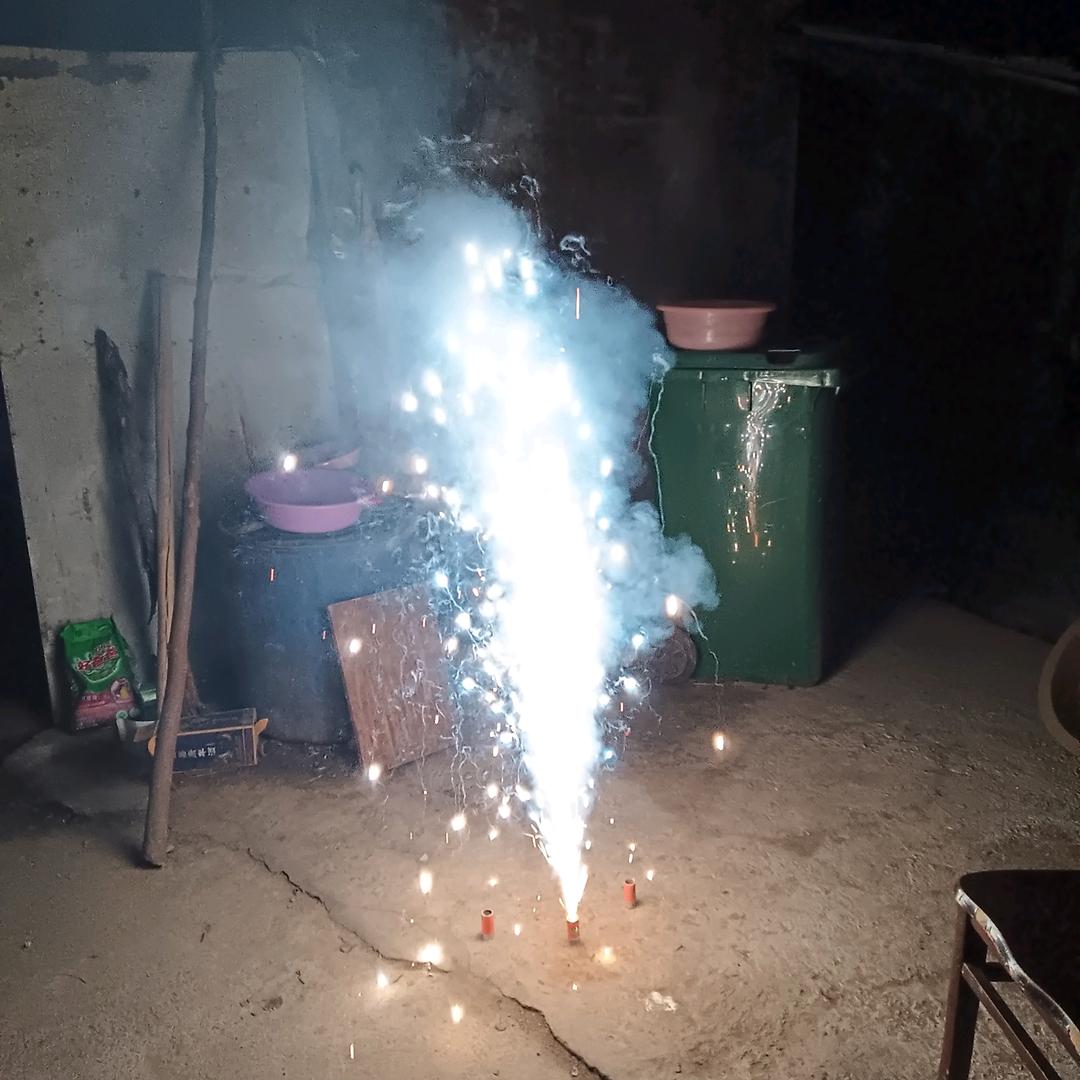寒梅飘香∽张冬梅