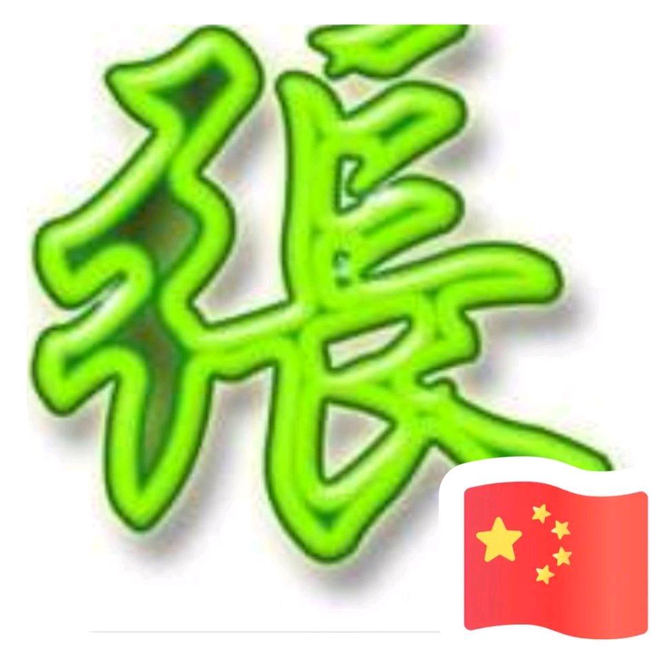 飞翔zH
