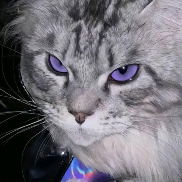 再让我睡几分钟