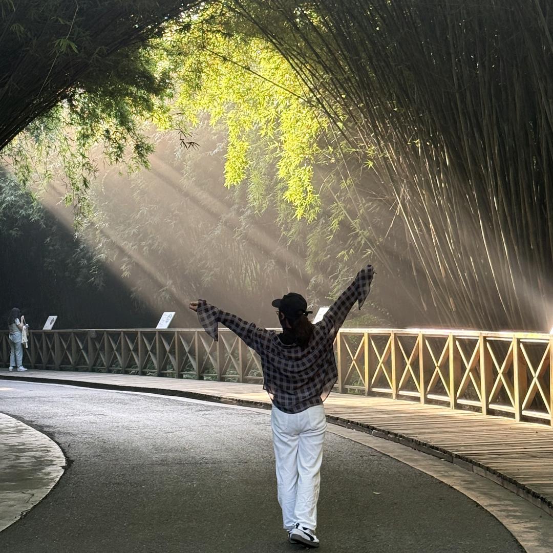 Ciciঞৣঁ