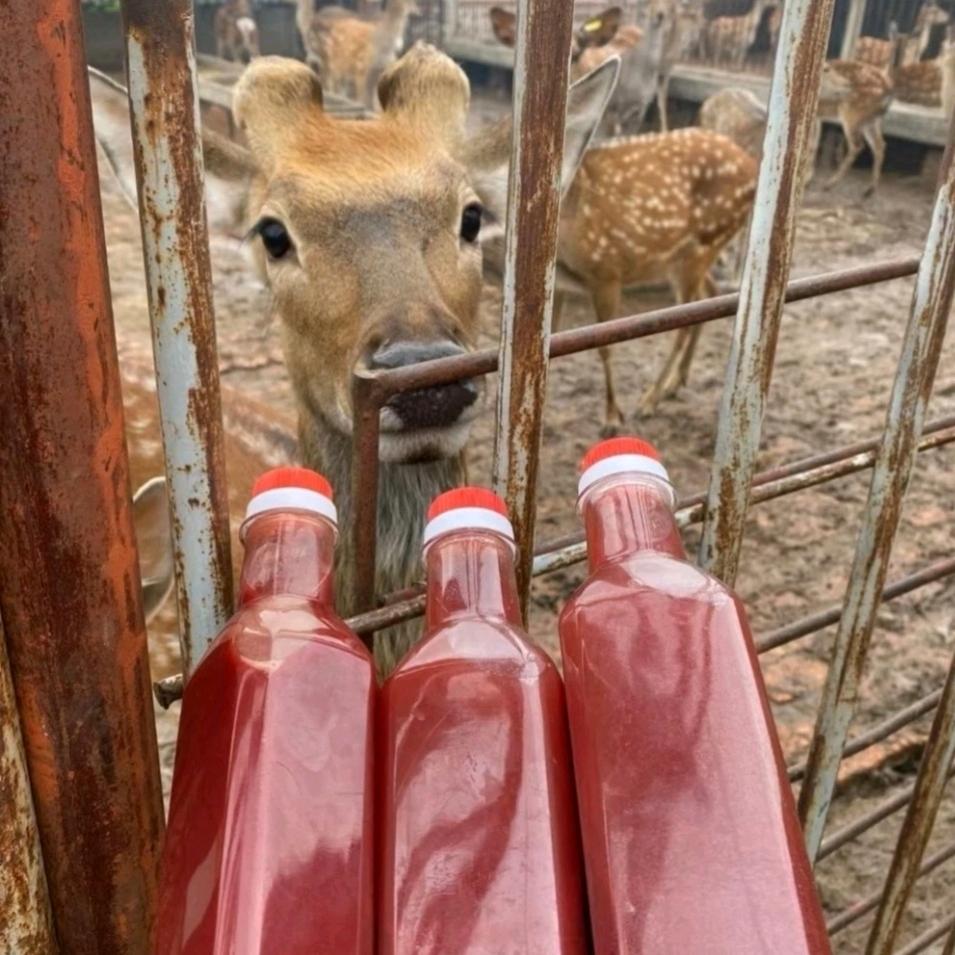 双阳鹿品优品严选
