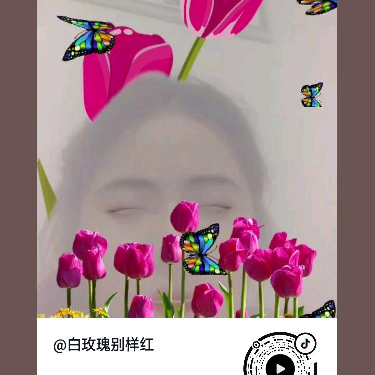 白玫瑰别样红
