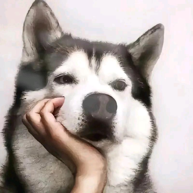 下一站，发财！