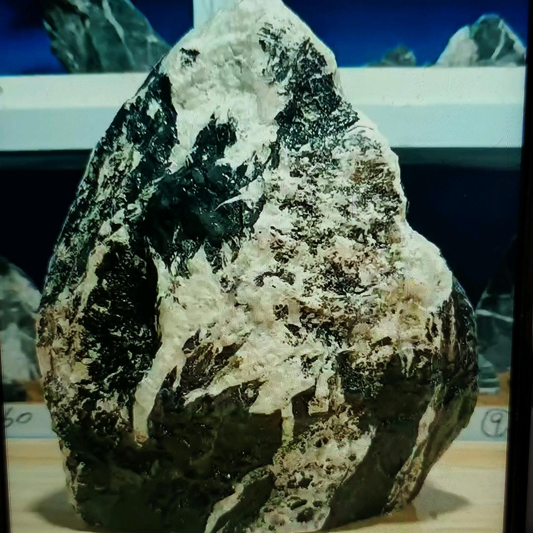 老五