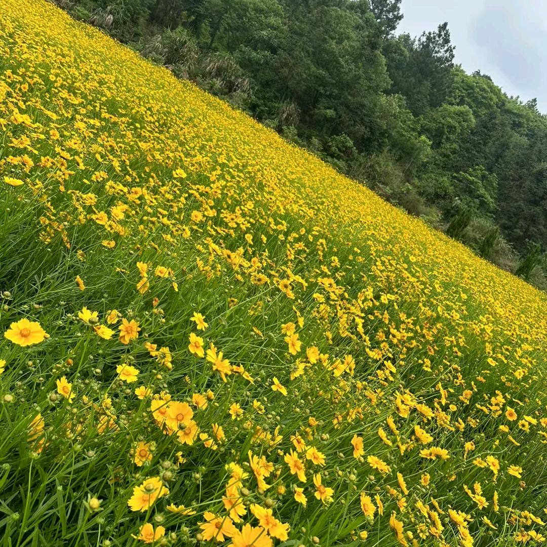 ღ🍒㐓㤅晟꧔ꦿ💋⁵²º᭄