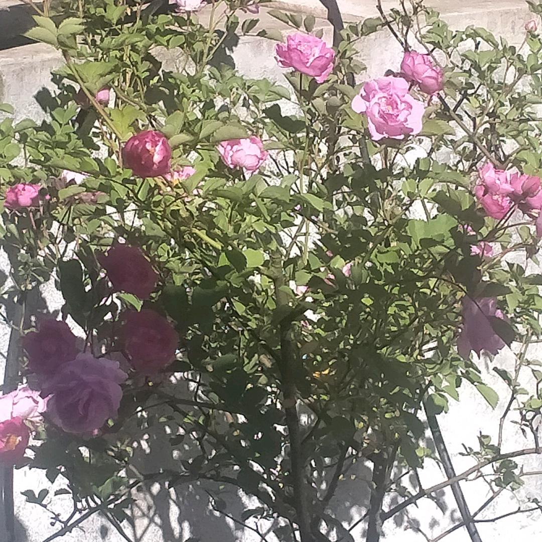 冷静    人怕无情     心怕伤。。