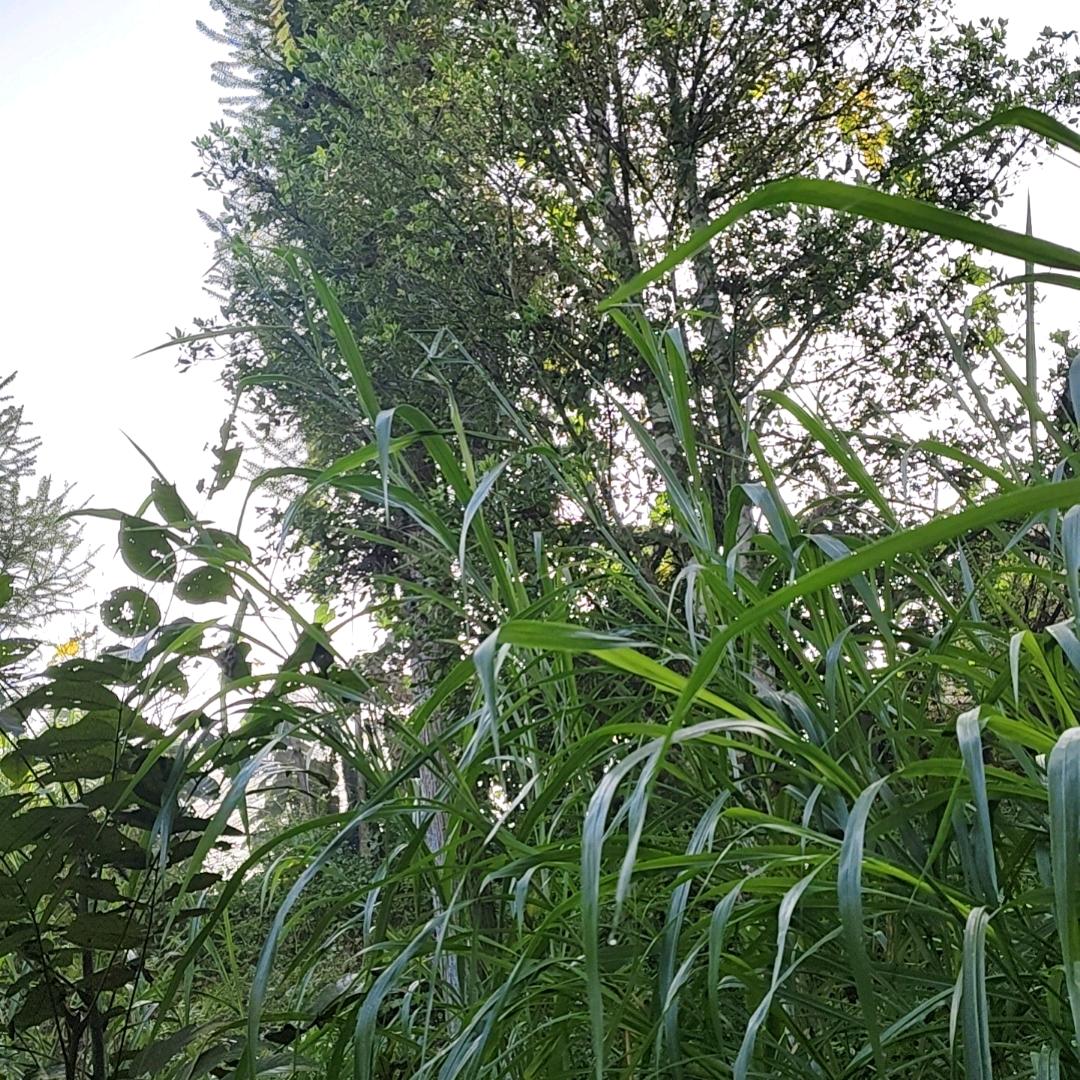 生存只能靠自己，