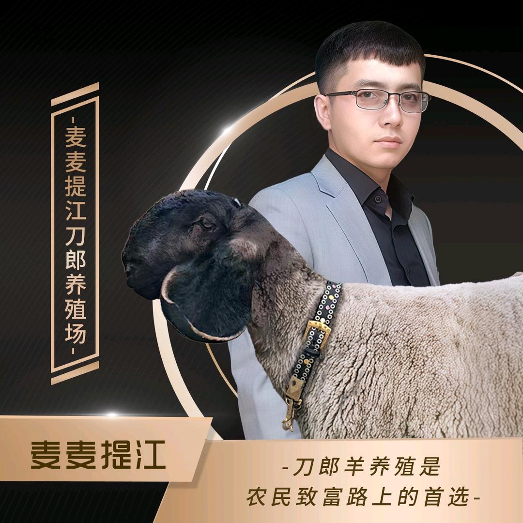 麦麦提江的刀郎羊