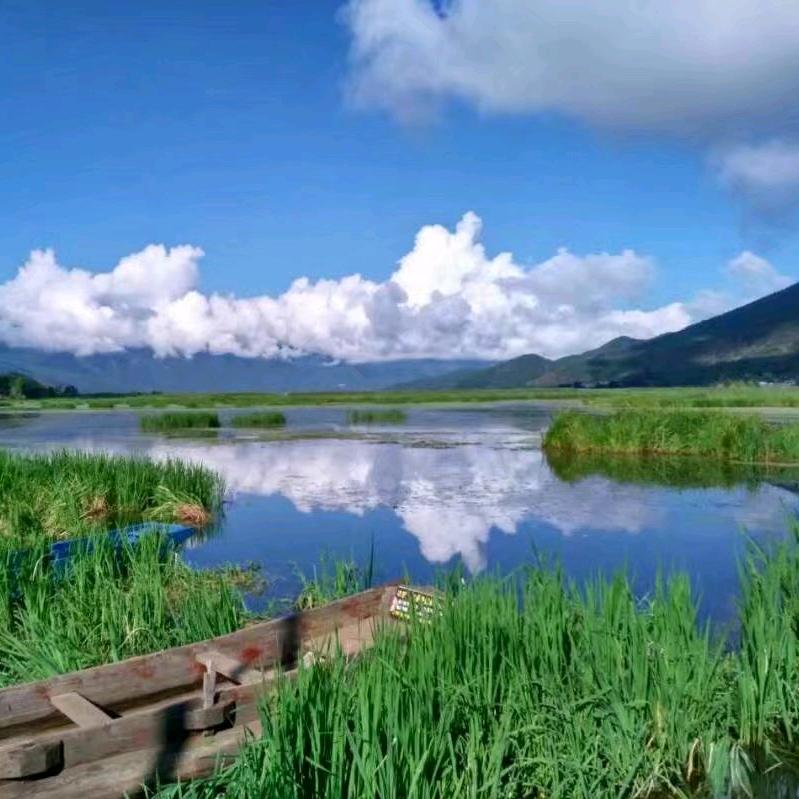 阳洋