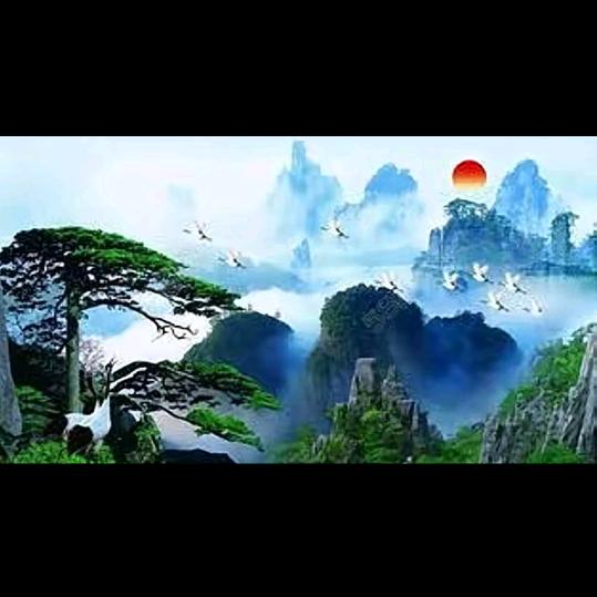 沭阳老兵绿化老胡