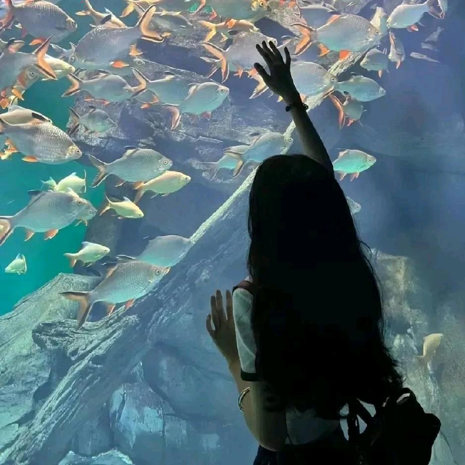 派大星的海洋裤.