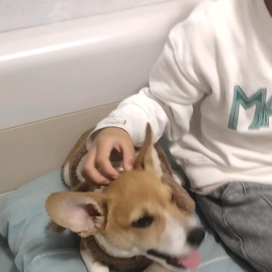 (爱跳舞的尼克)