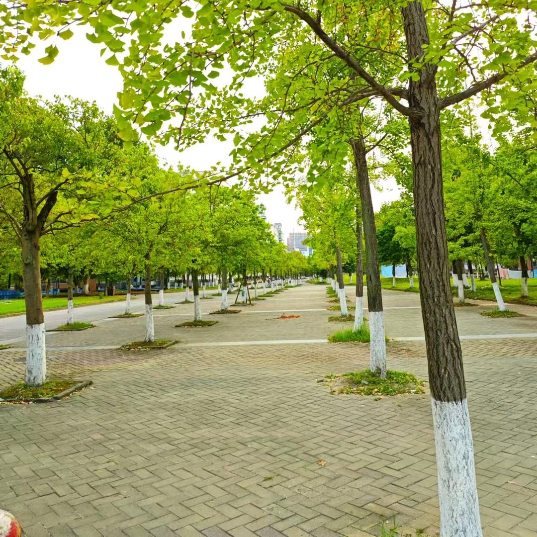 风言
