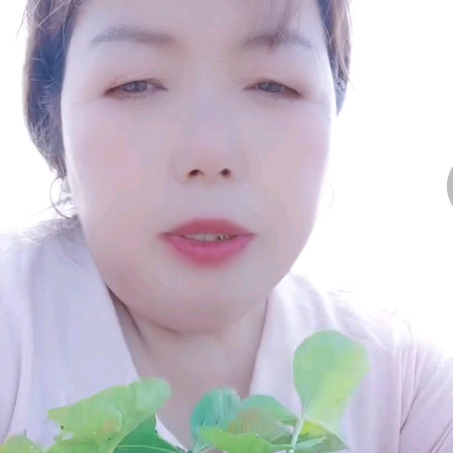 傻妞一辈子