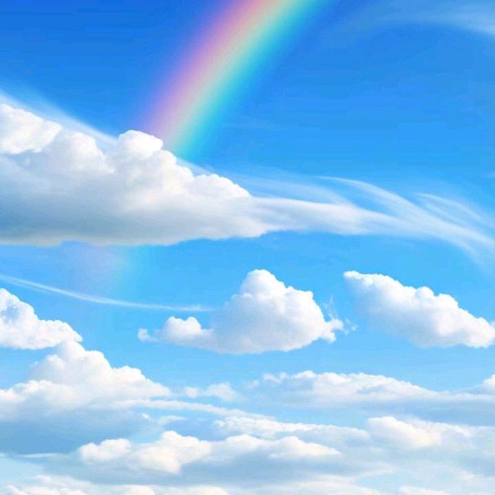 🌈幸运儿^_^🌈