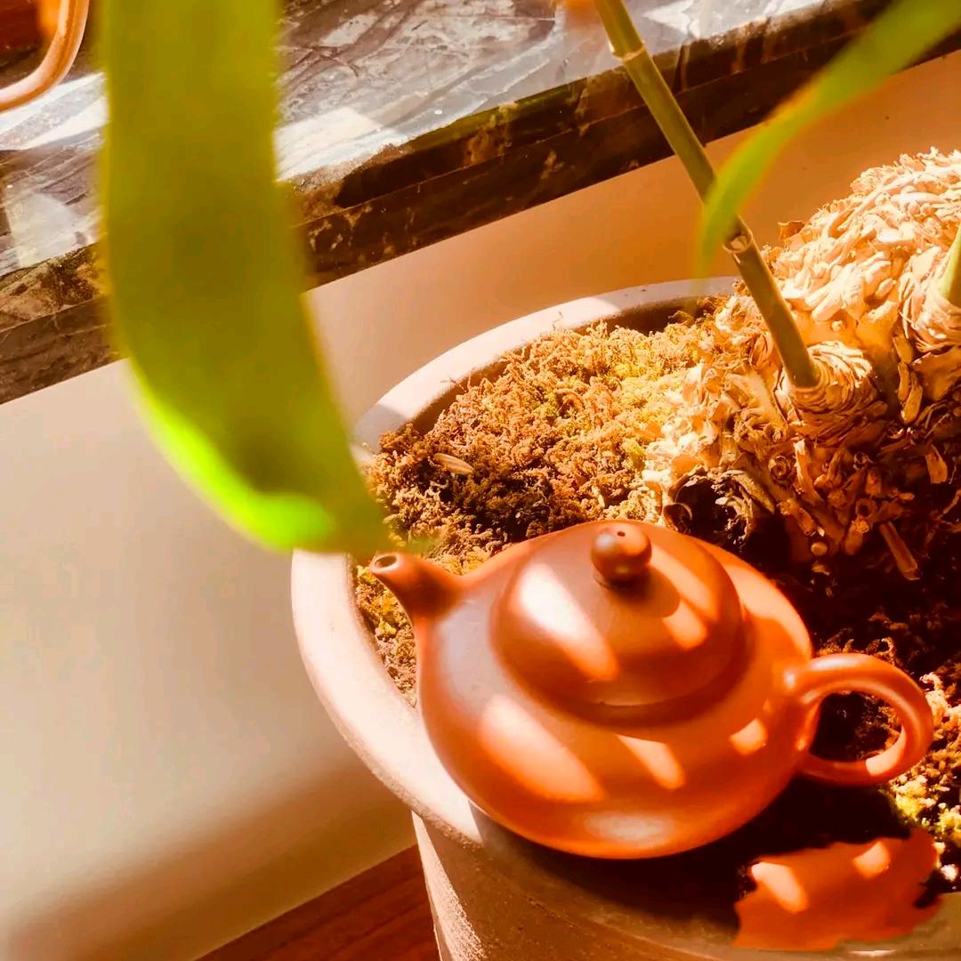 往事不堪回首😇😇😇学会释怀