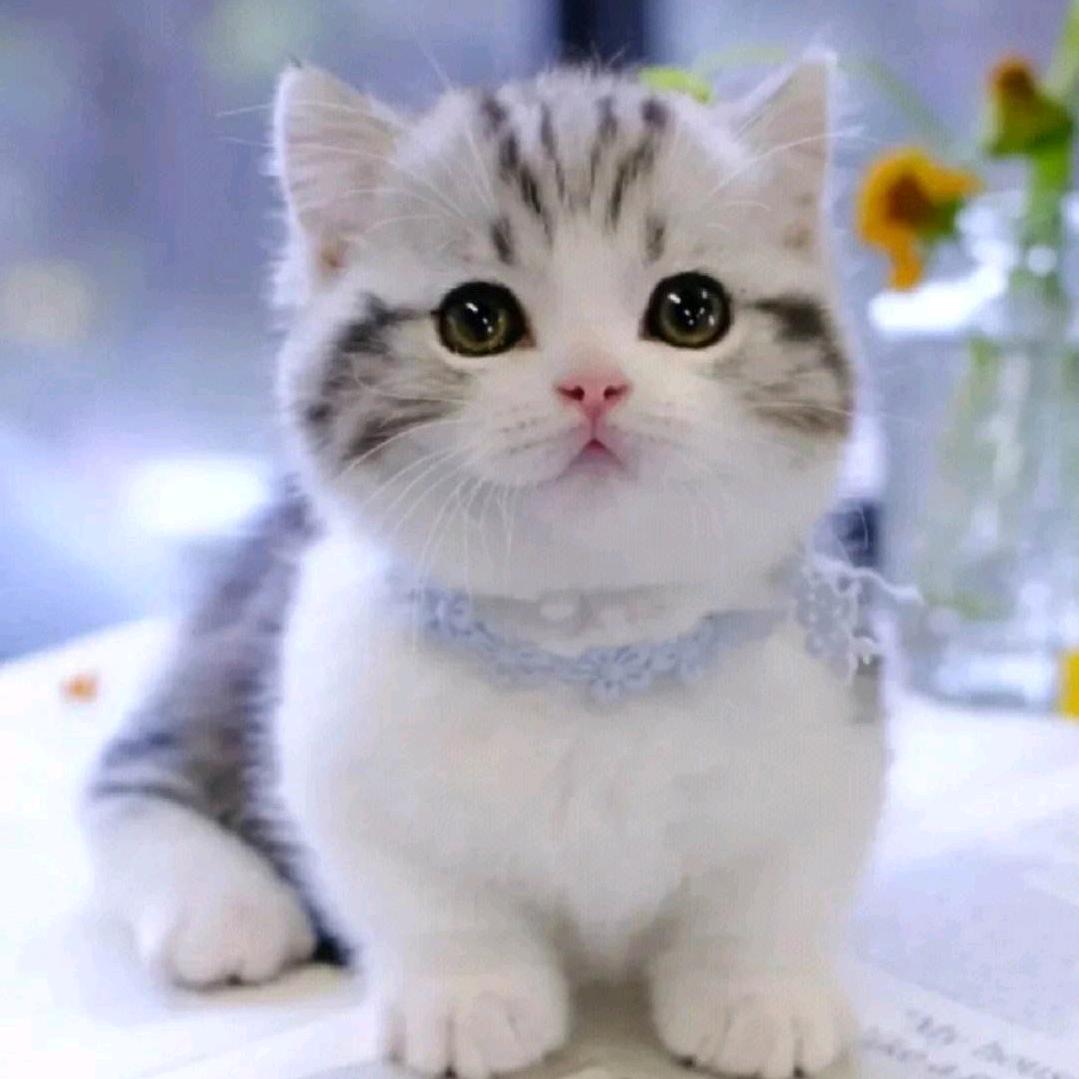 小仙女🧚‍♀️