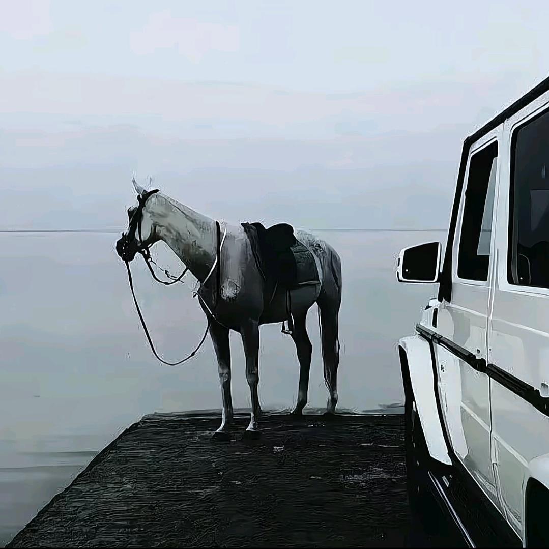 阿珂