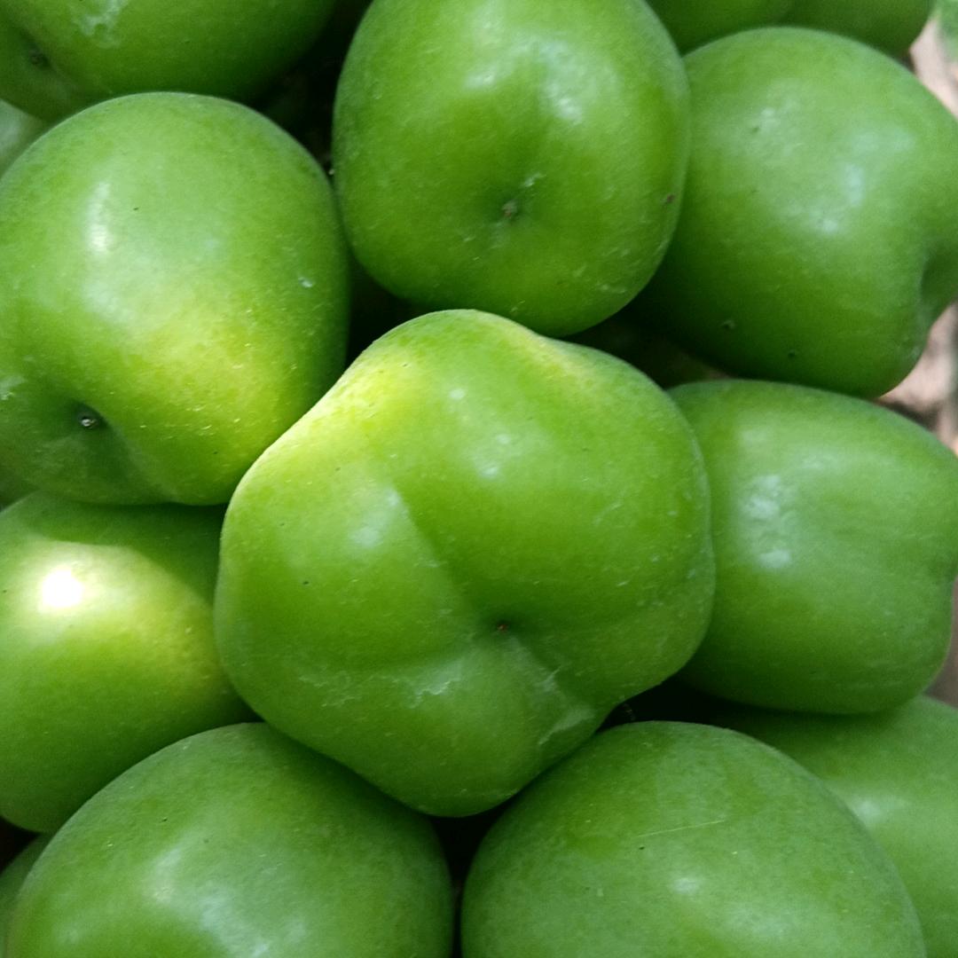 阳光玫瑰葡萄和拖拉机农机合作社