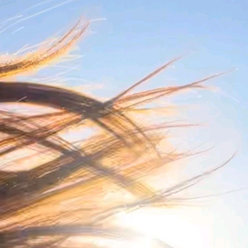 乱了头发乱了心❤