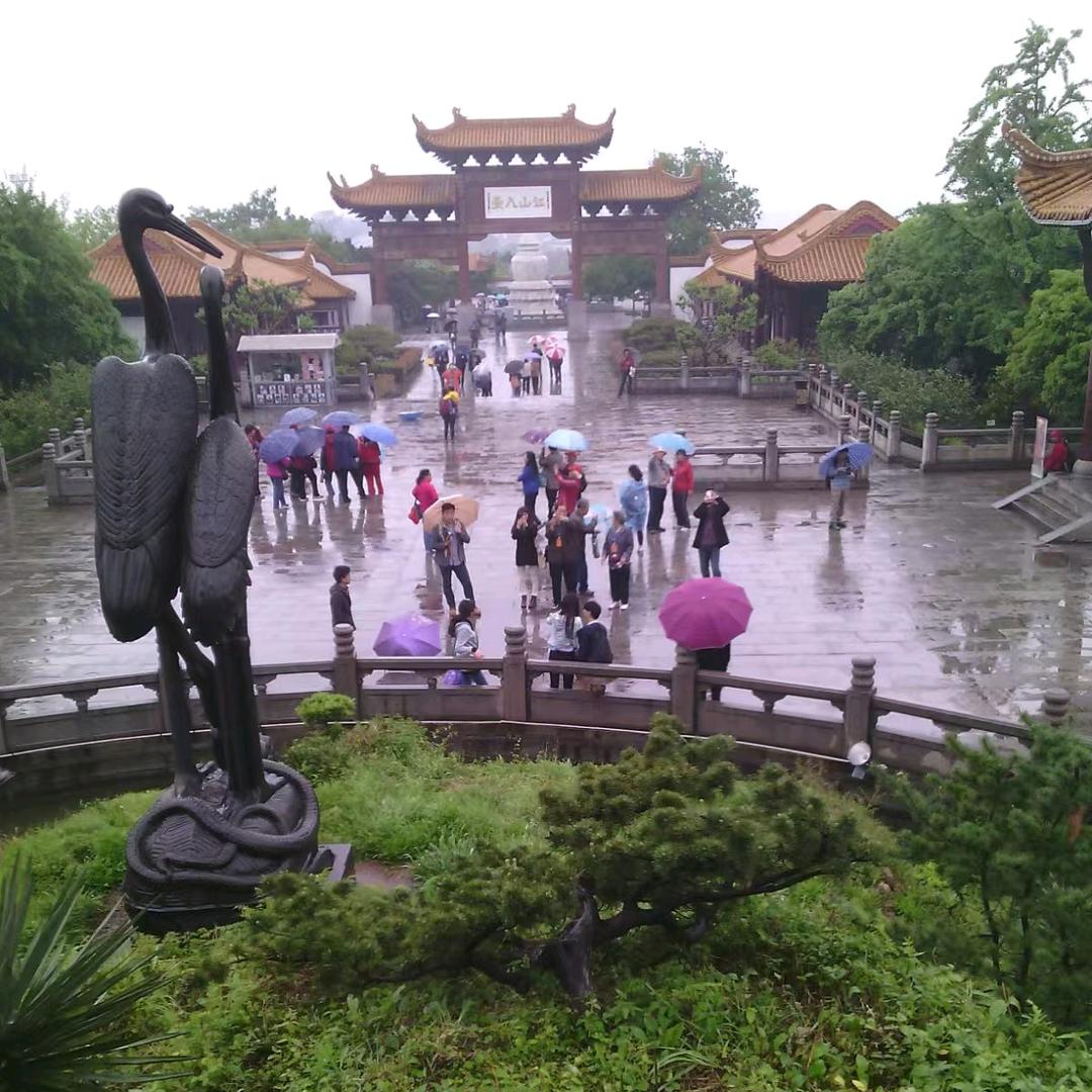 ꧁๑҉放屁闪了肾๑҉꧂