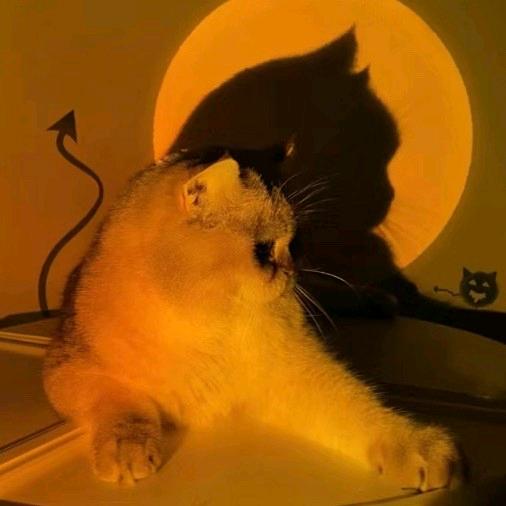 小陈想过理想的生活