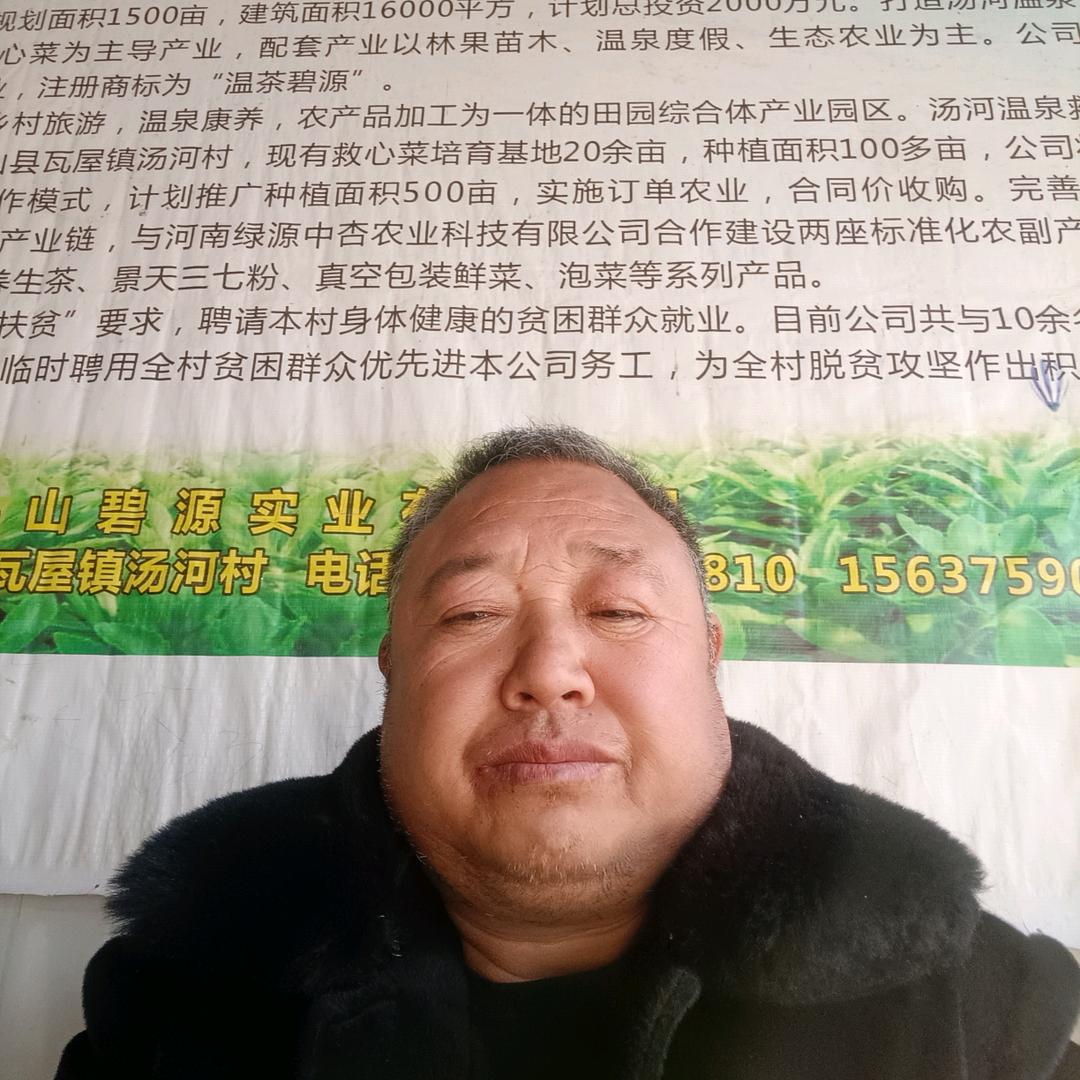 卫人民服务