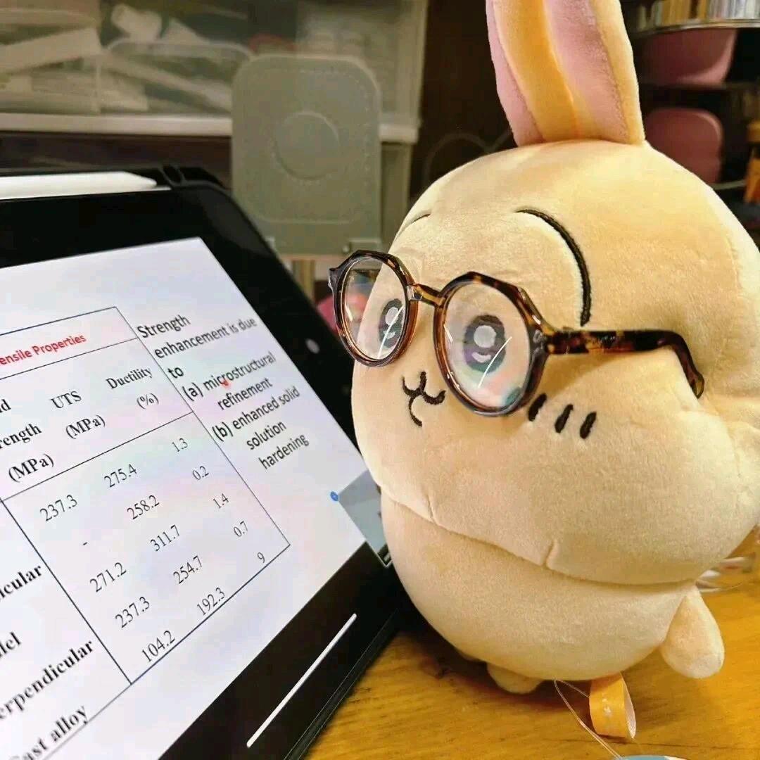 💫圈布豆锅🍐