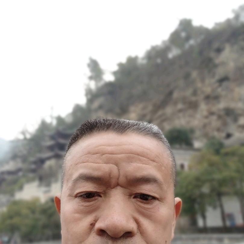 老魏