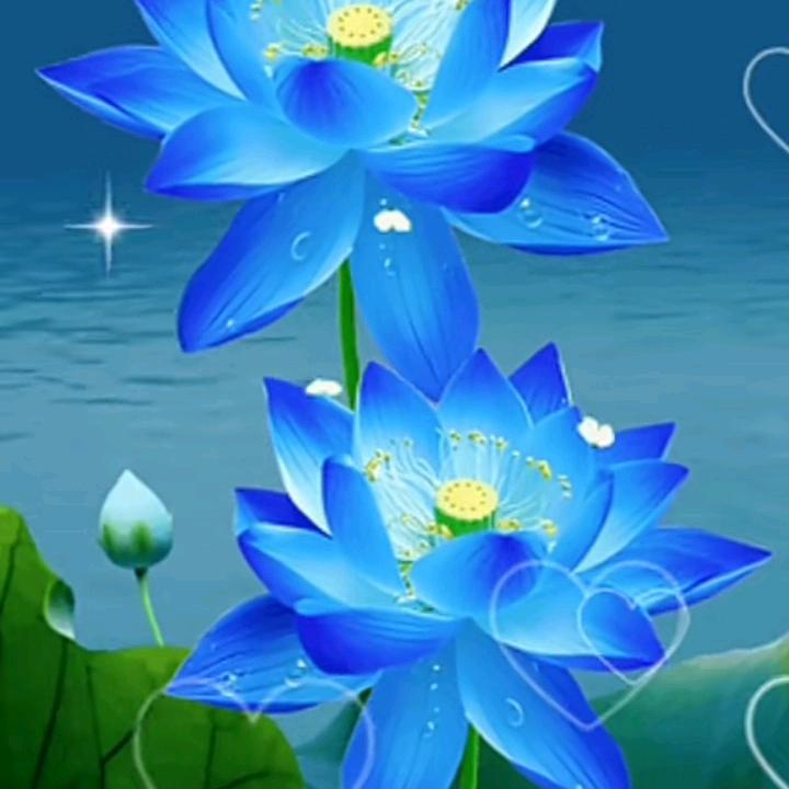 红尘来去一场梦