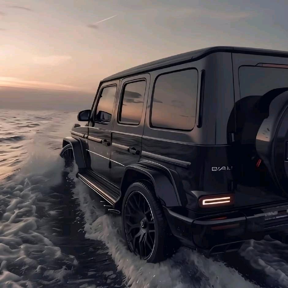 桐乡中山名车馆-朱杰