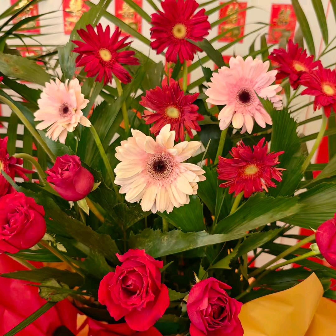 熙江悦足道9号茉莉