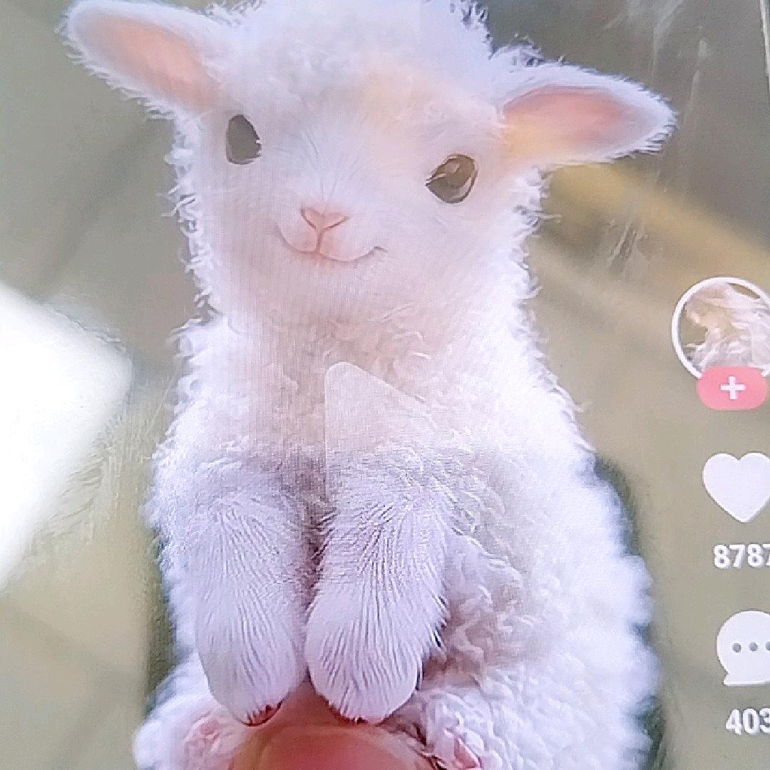 🕊এ᭄温暖꧔ꦿ四季᭄💞࿐ᩚ