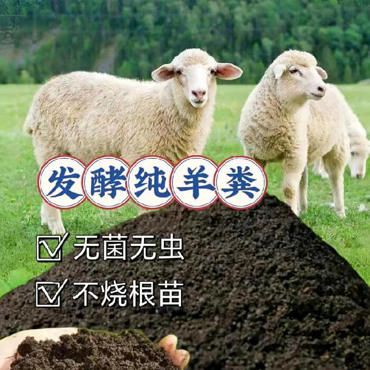庆阳发酵羊粪（常）