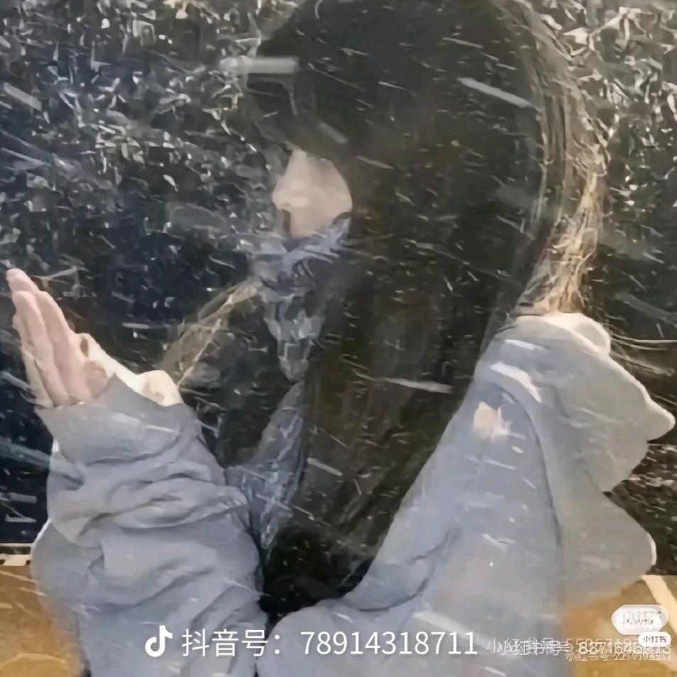 呆呆（大号）头像