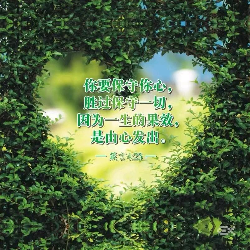 新沂同城买卖租房