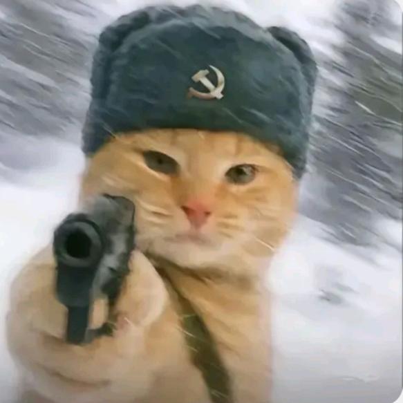 真理只在大炮射程之内