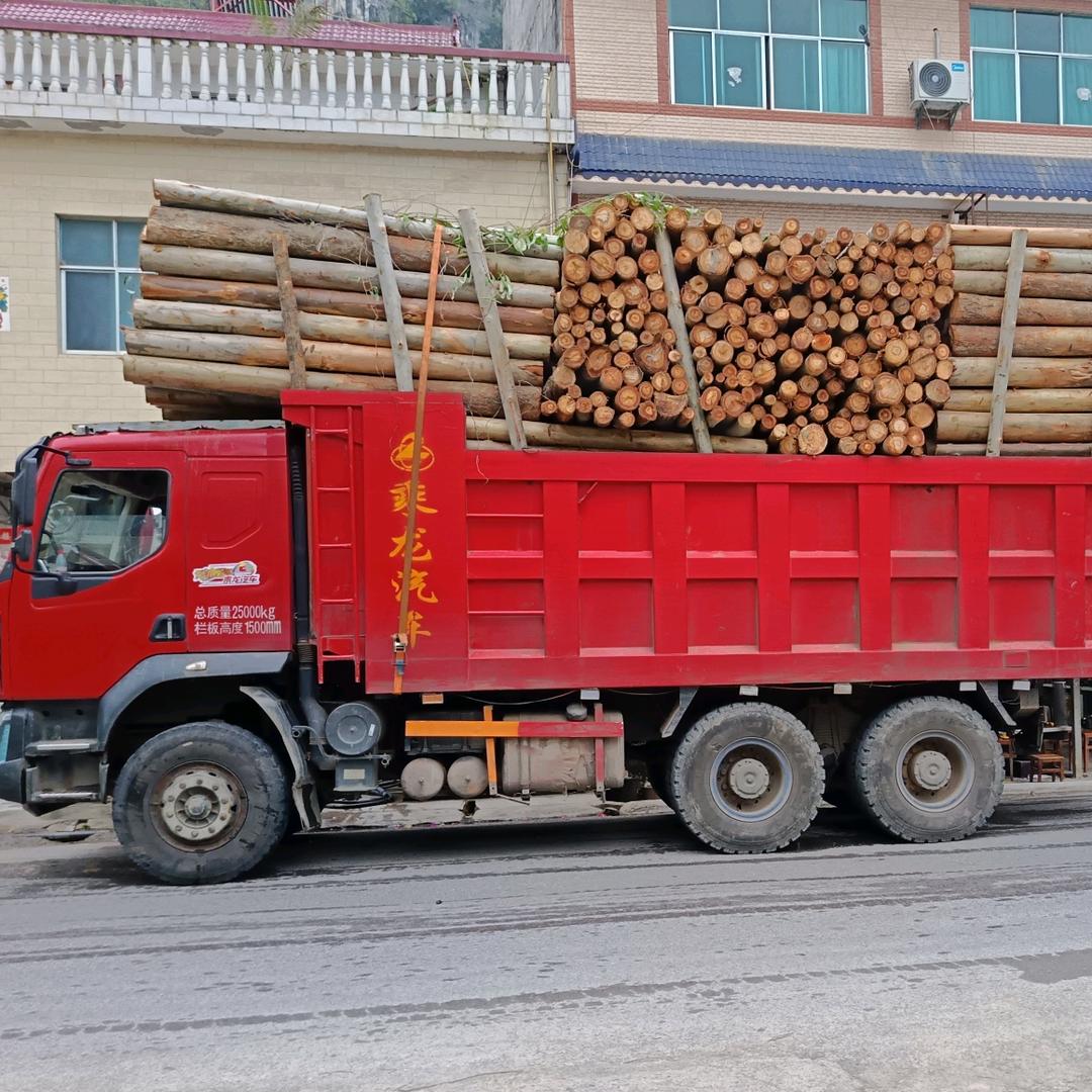 乘龙M3小钢炮车主