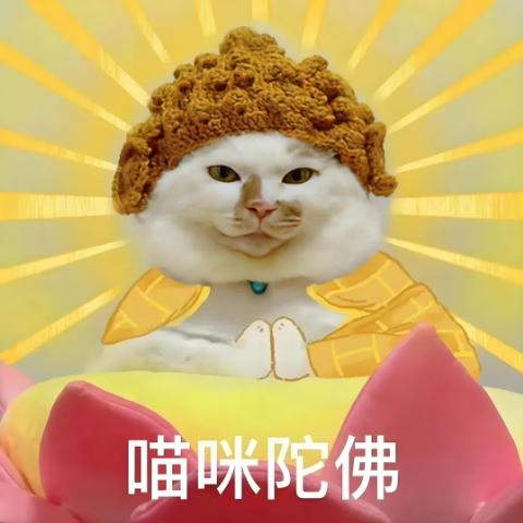 每天晚上都很饿