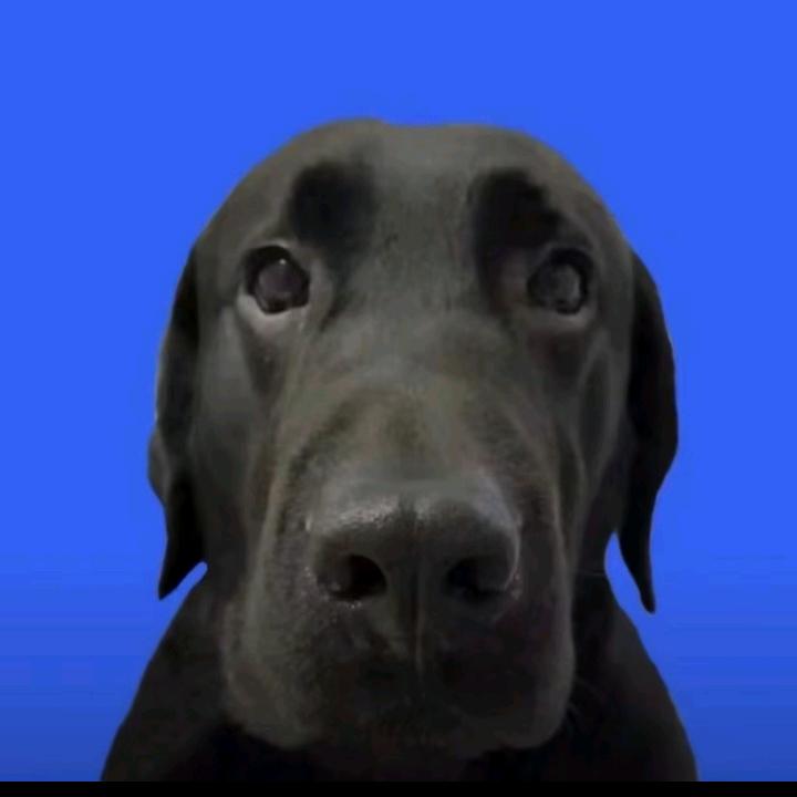 曼ba