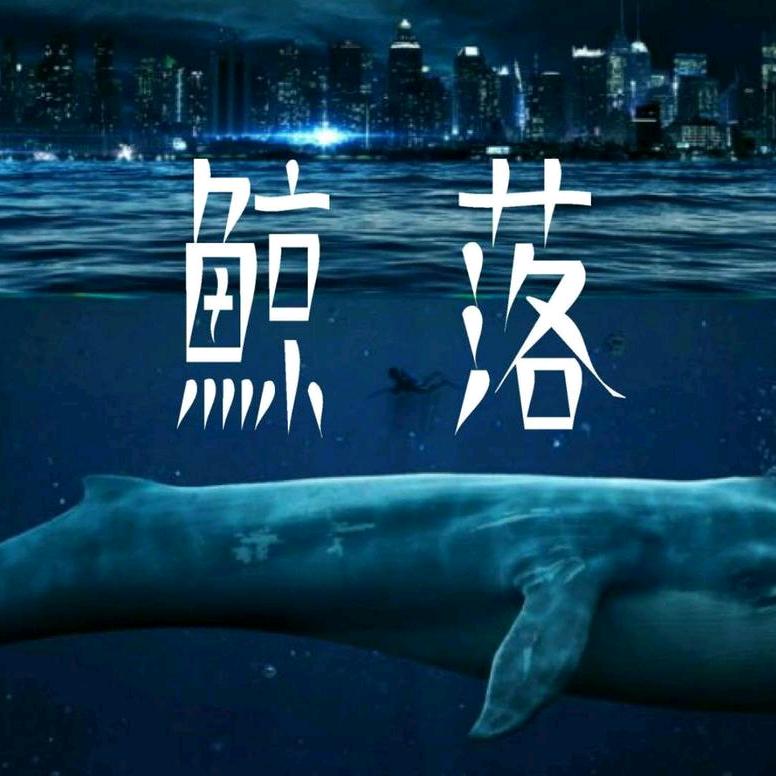 鲸落💫