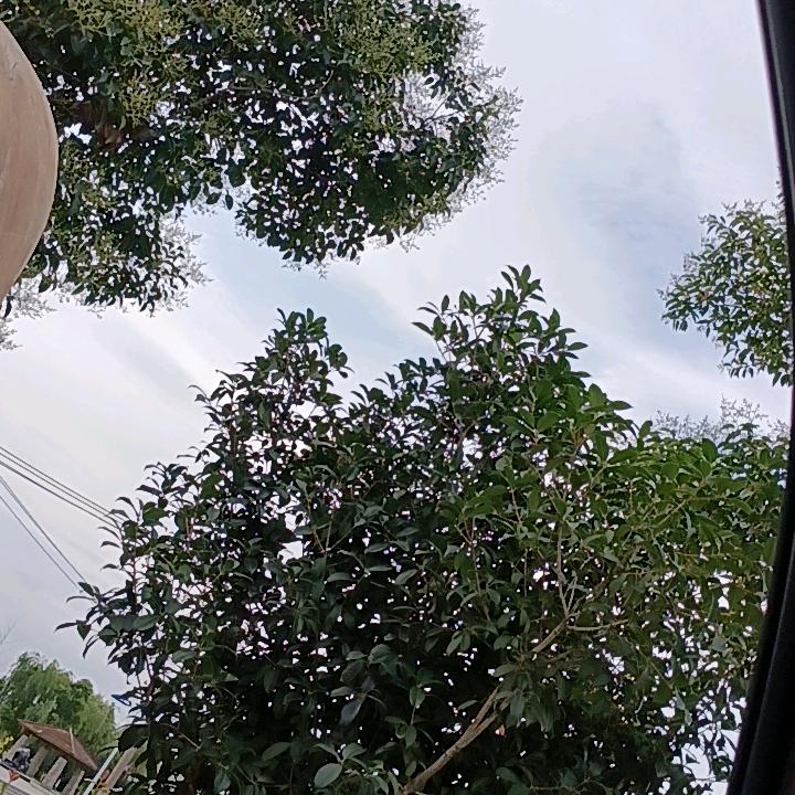 苗师傅专业水电收徒