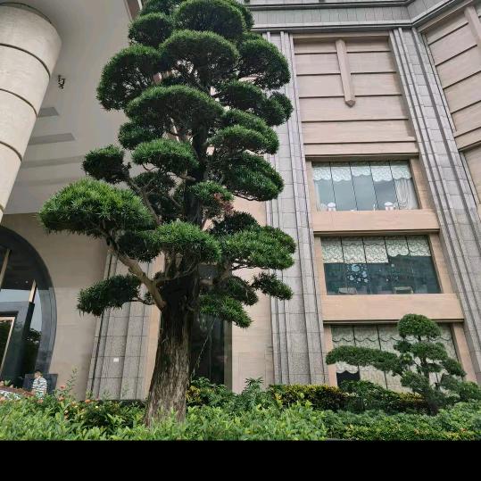 专业做彩钢瓦